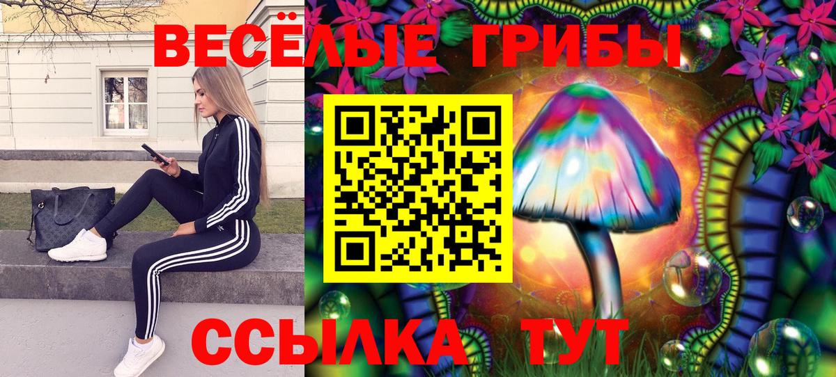 Псилоцибиновые грибы GOLDEN TEACHER Уссурийск
