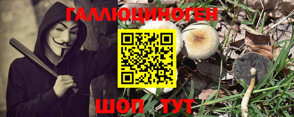 Галлюциногенные грибы GOLDEN TEACHER  Псилоцибиновые грибы Psilocybe  Вход с VPN  Уссурийск 